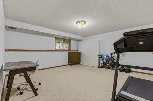 Lower family room is spacious and includes access to a crawl space for tons of storage or a fun hideout