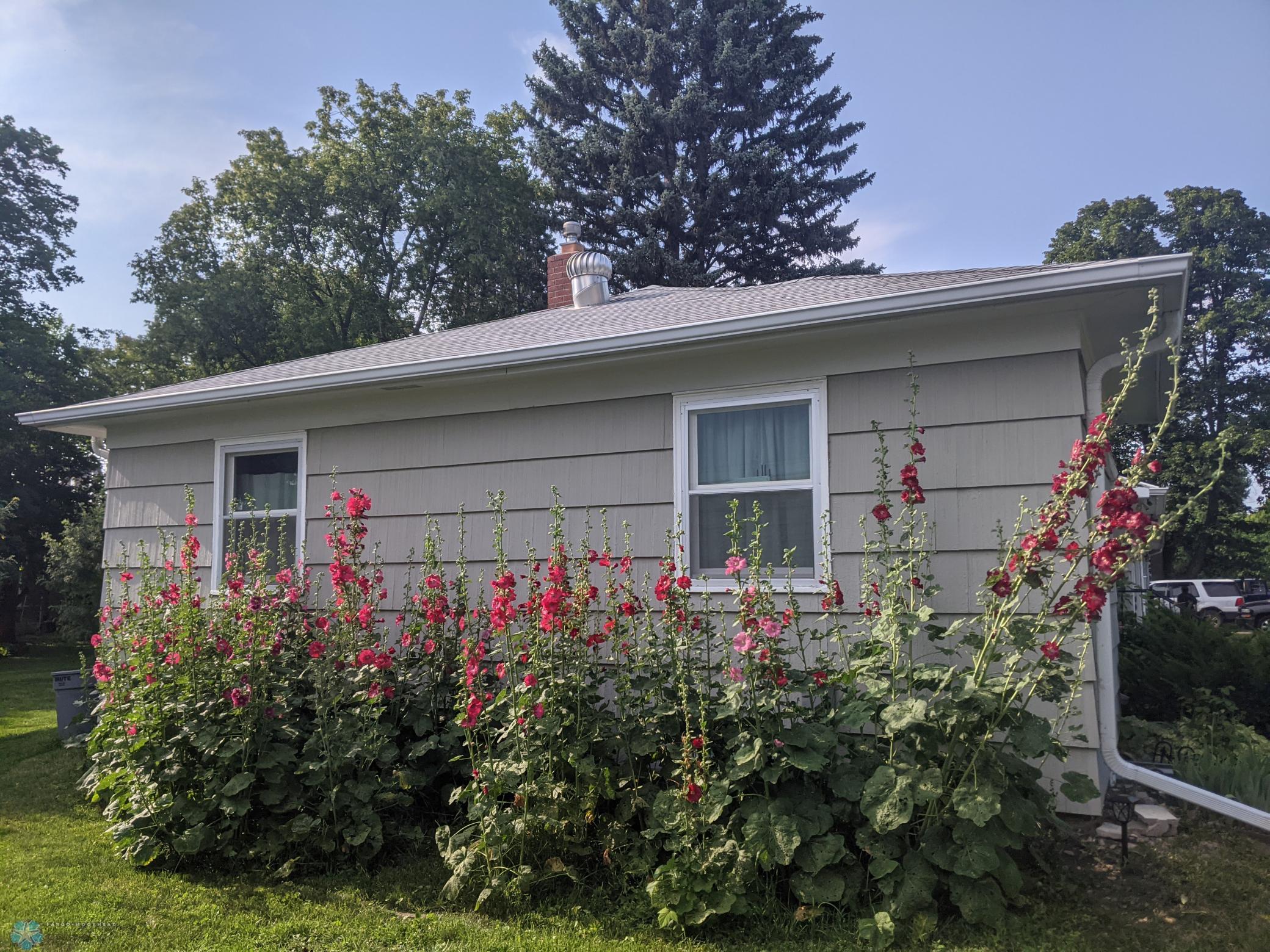 Side Landscaping.jpg