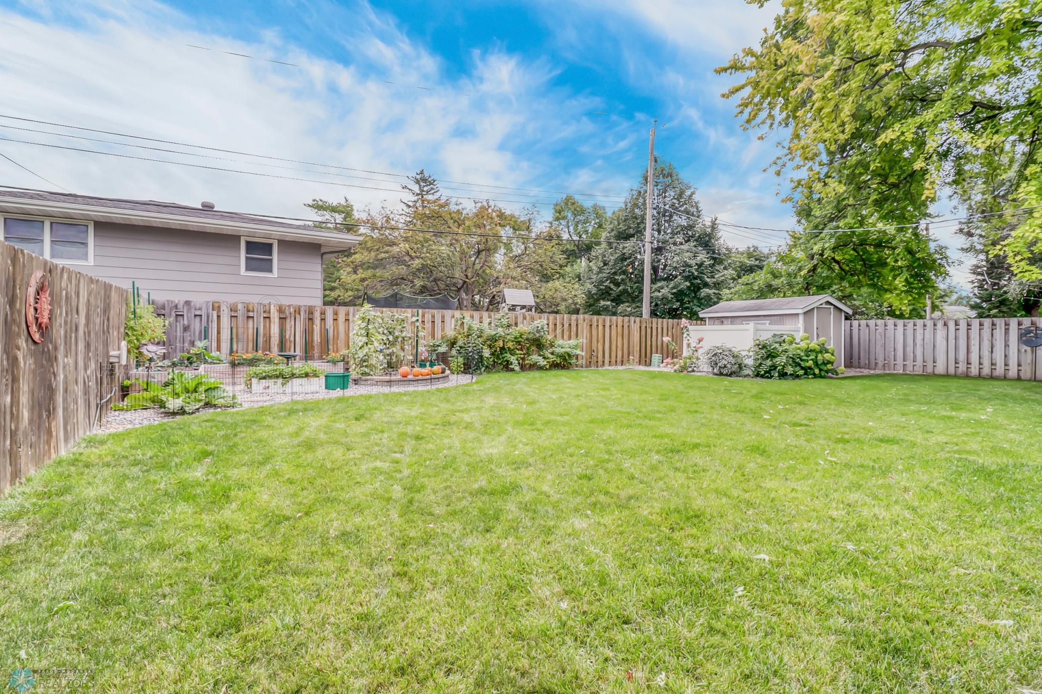 Backyard1_2.jpg