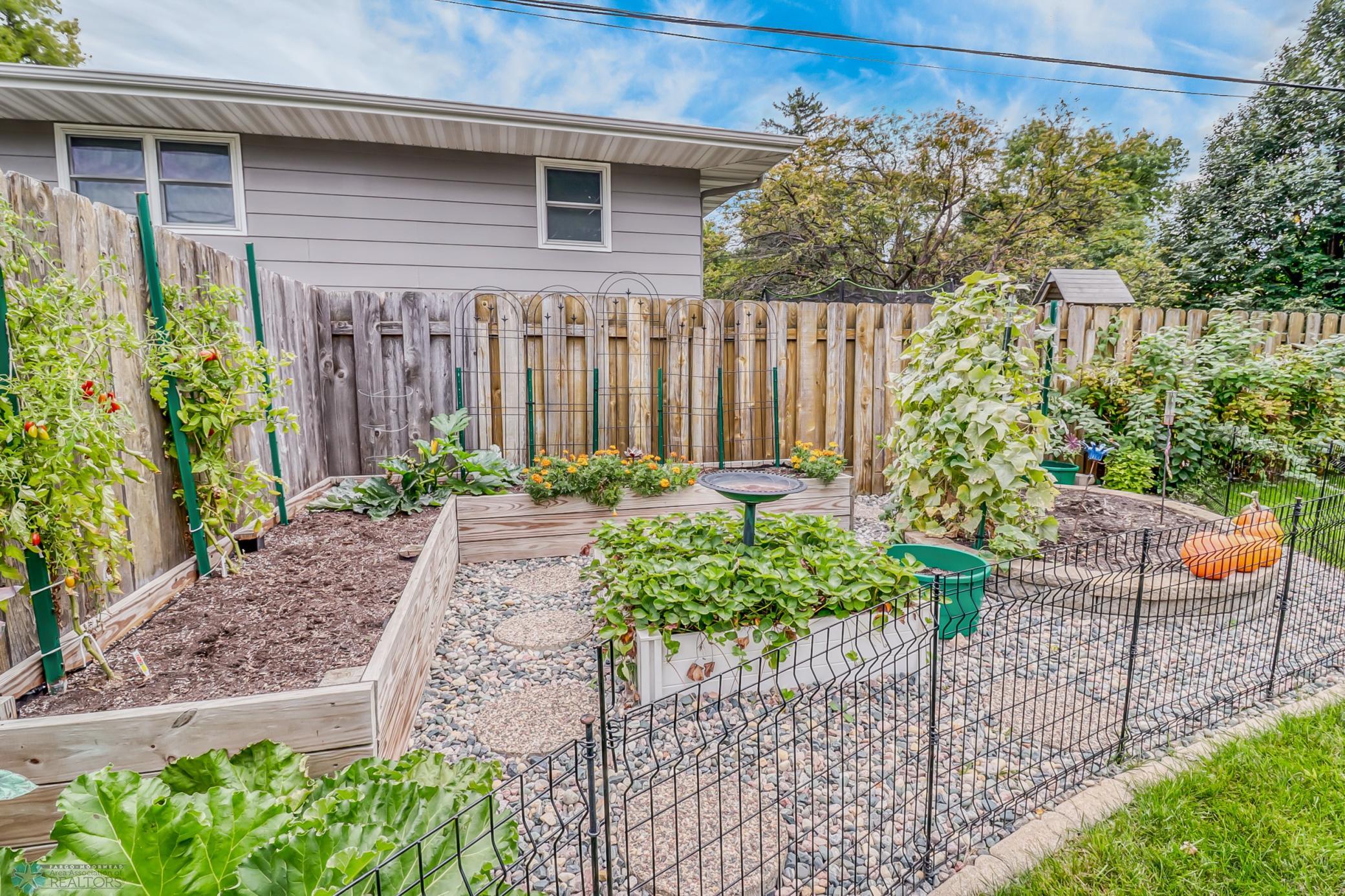 Backyard1_3.jpg