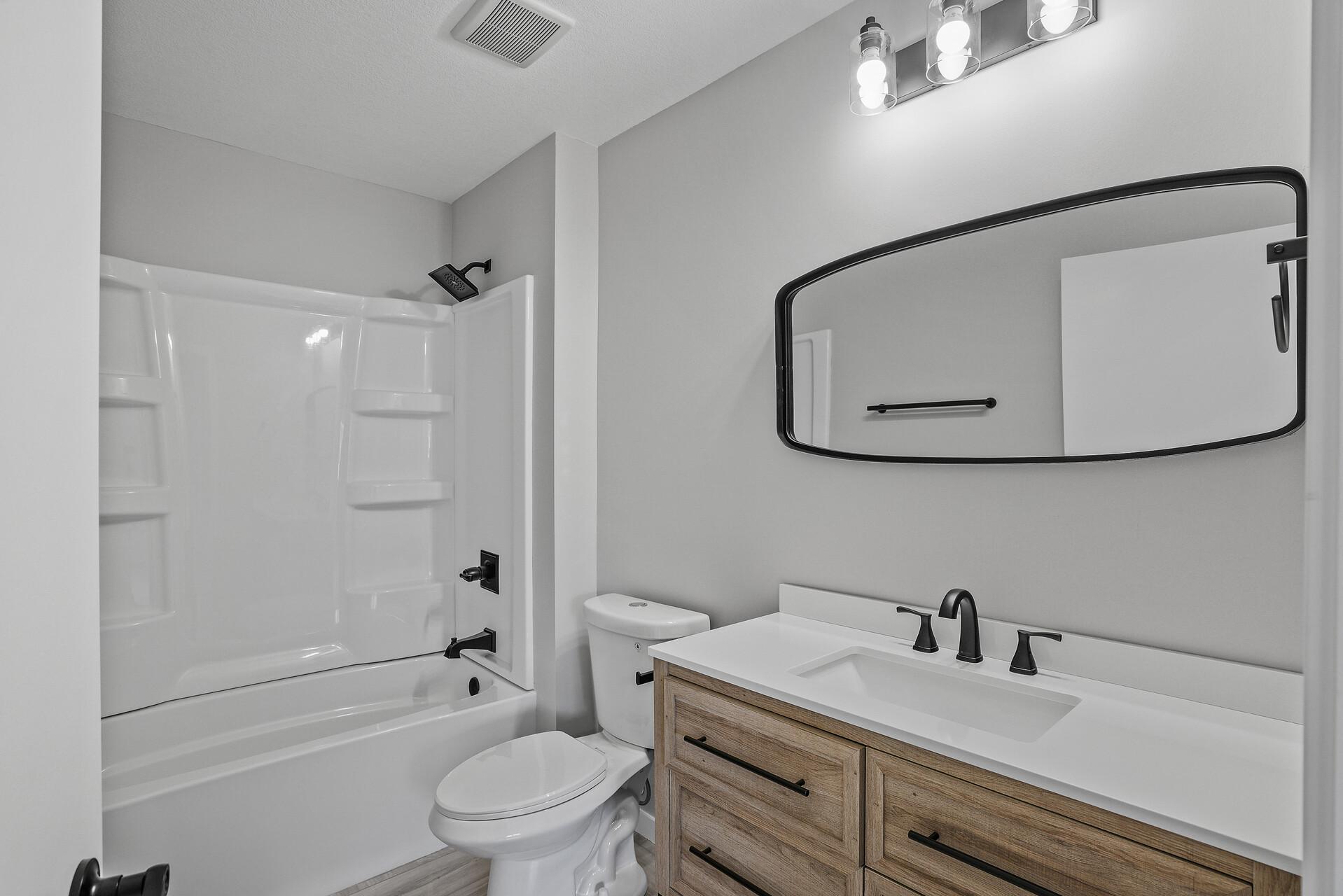 Lower level bathroom