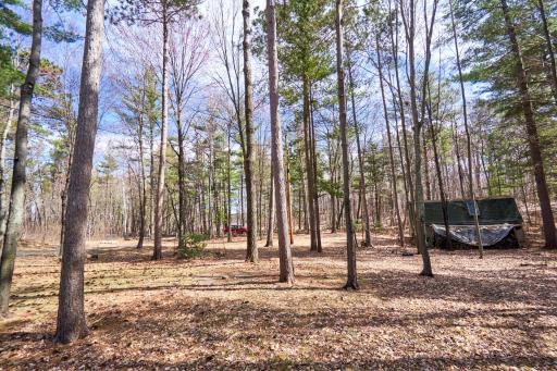 8559 Sunset Shores, Pine River, MN 56474
