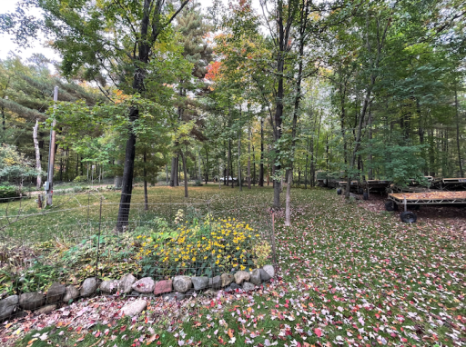8559 Sunset Shores, Pine River, MN 56474