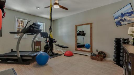 The lower level flex room is currently used as a home gym.