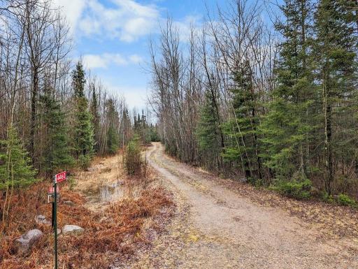 Welcome to the entrance to this private beautiful 20 acre property! High ground. No swamps on the property. 40x32 pole building. Lots of pines and balsam fir.