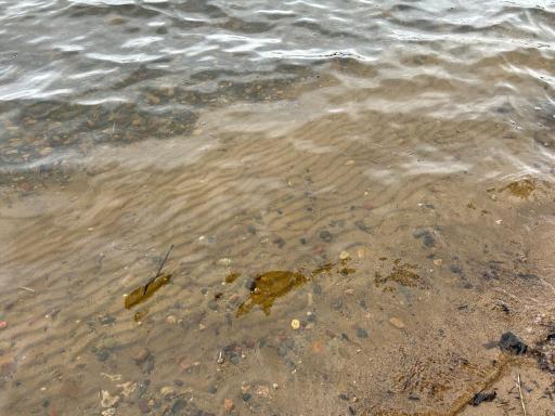 A look at the lake bottom--ripple hard sand beach!