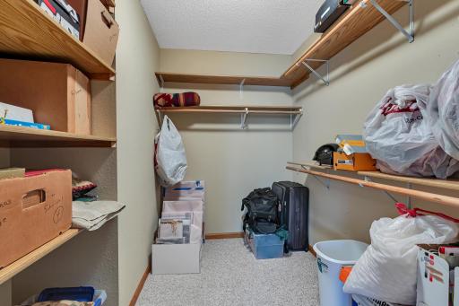 All four bedrooms have spacious walk-in closets. There is additional storage under the steps and a separate lower level storage room.