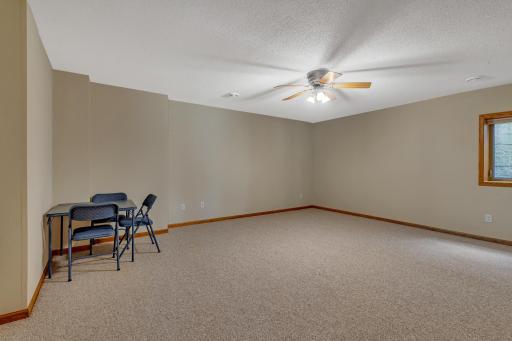 Both of the lower level bedrooms feature carpet flooring. The carpet was last replaced in 2016.