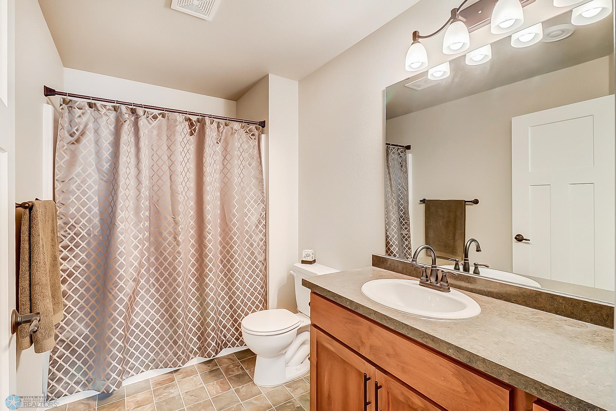 Basement Bathroom