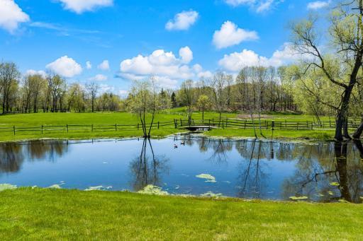 Enjoy the abundant wildlife on your own private pond.