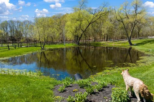 Enjoy the abundant wildlife on your own private pond.