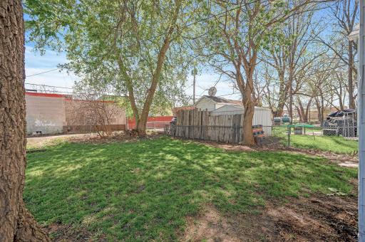 Large shaded backyard with plenty of space for yard games.