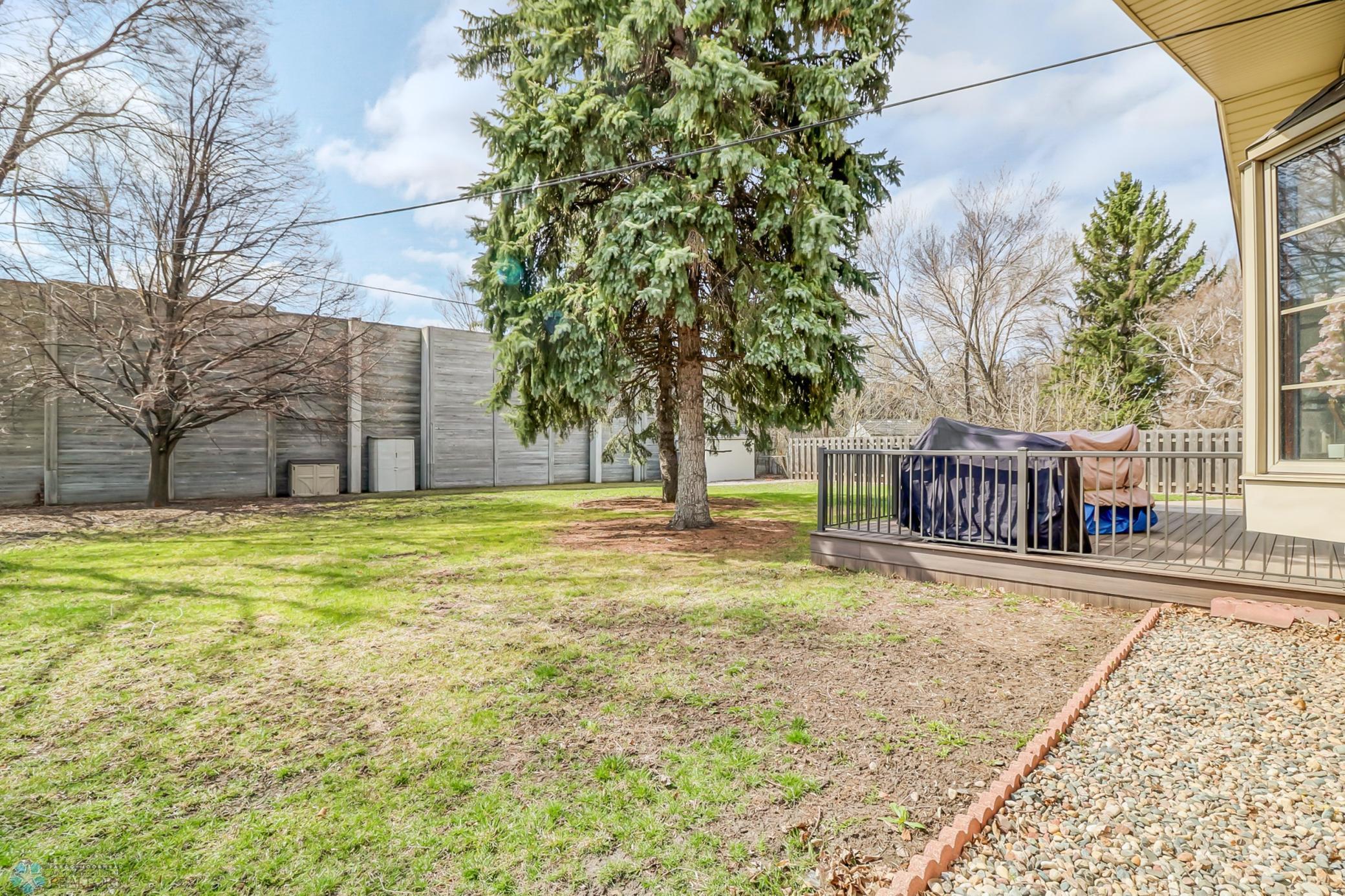 Backyard1_2.jpg