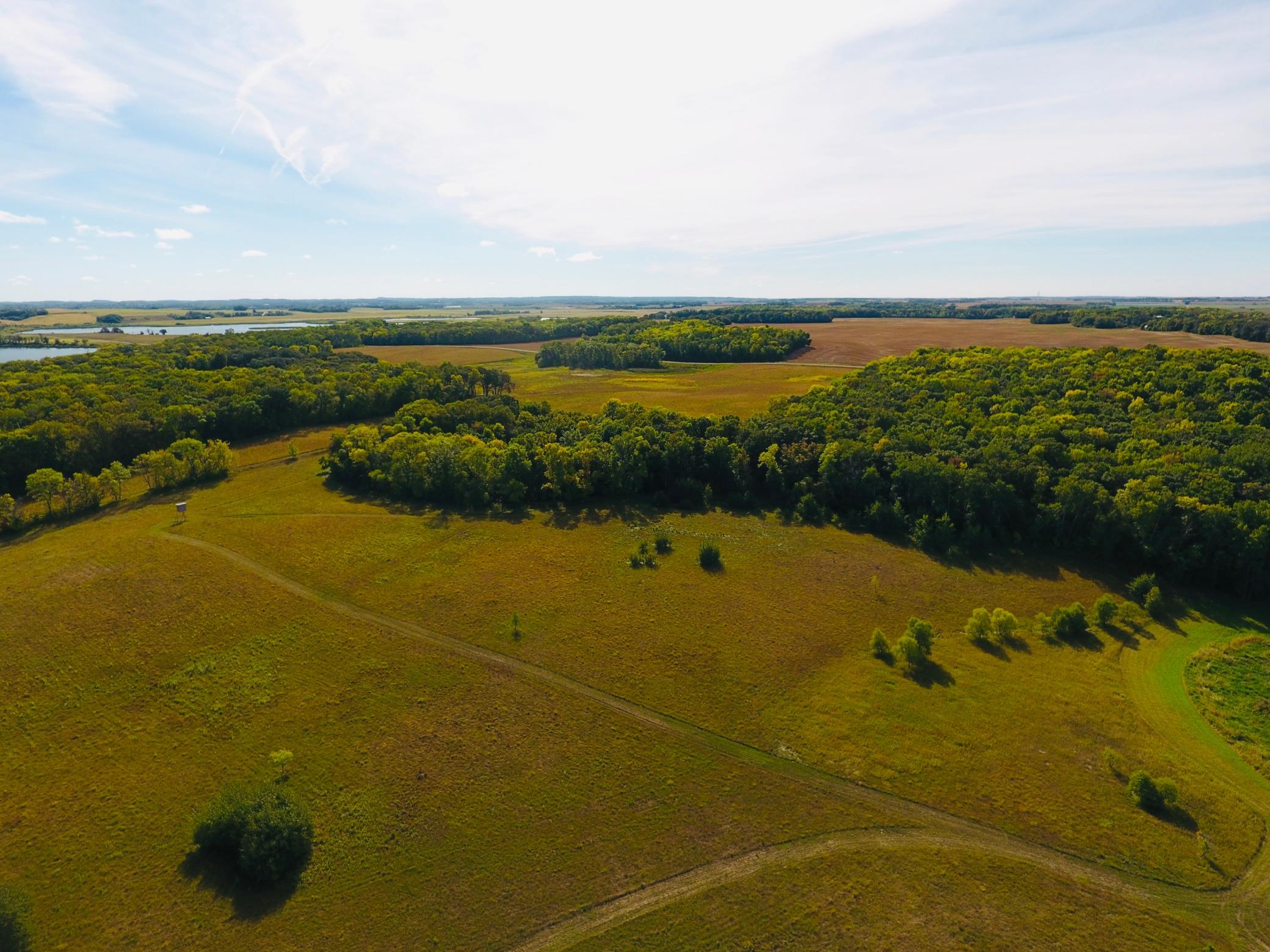 DJI_0227.jpeg