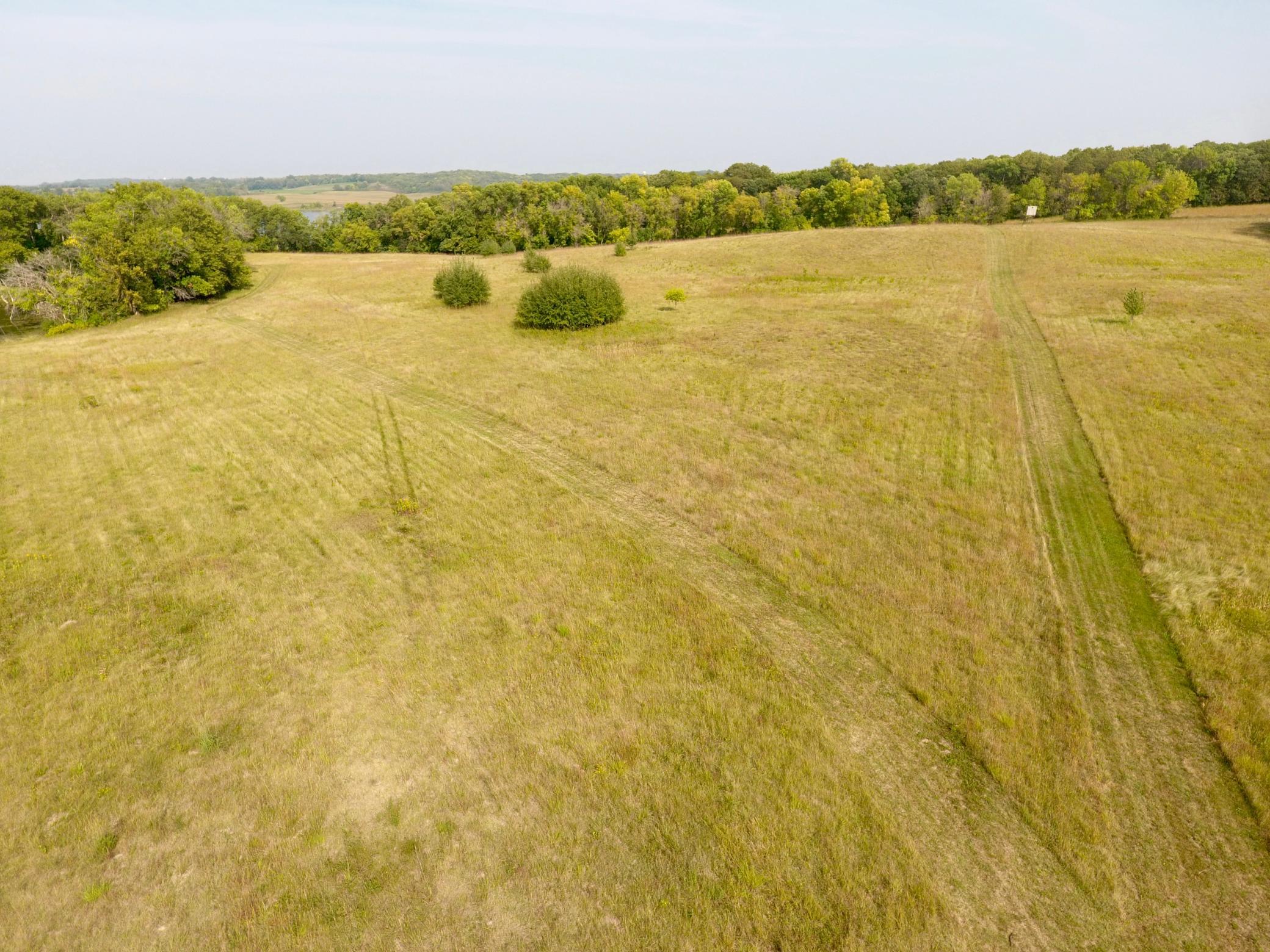 DJI_0214.jpeg