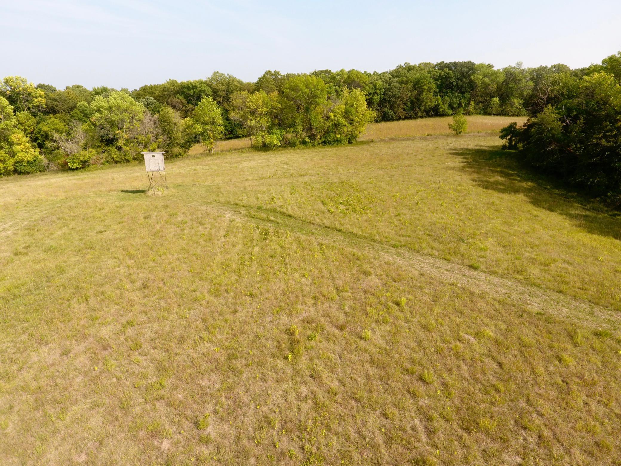 DJI_0216.jpeg
