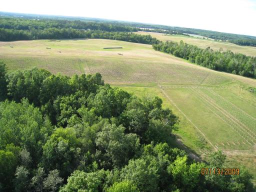 Views of the originally, planted vineyard.