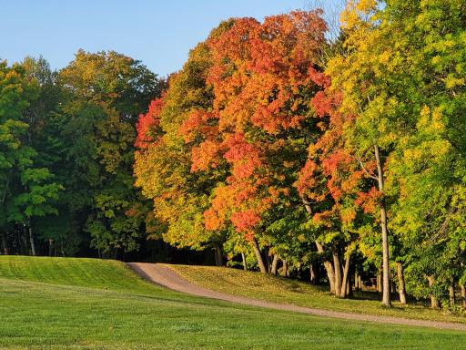 The fall coloring is unparalled in Blackhoof.