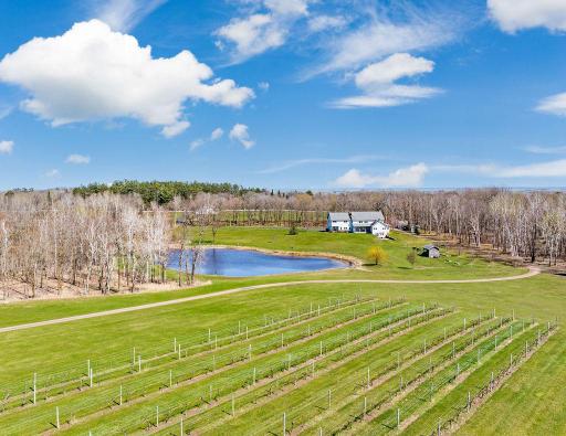 This stunning property has it's own vineyard, with both red and white grape varieties!