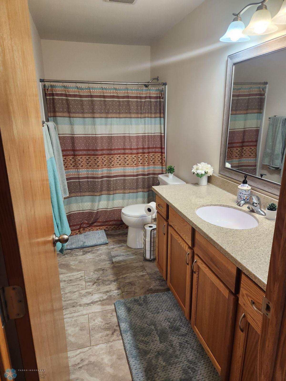 Lower level bathroom
