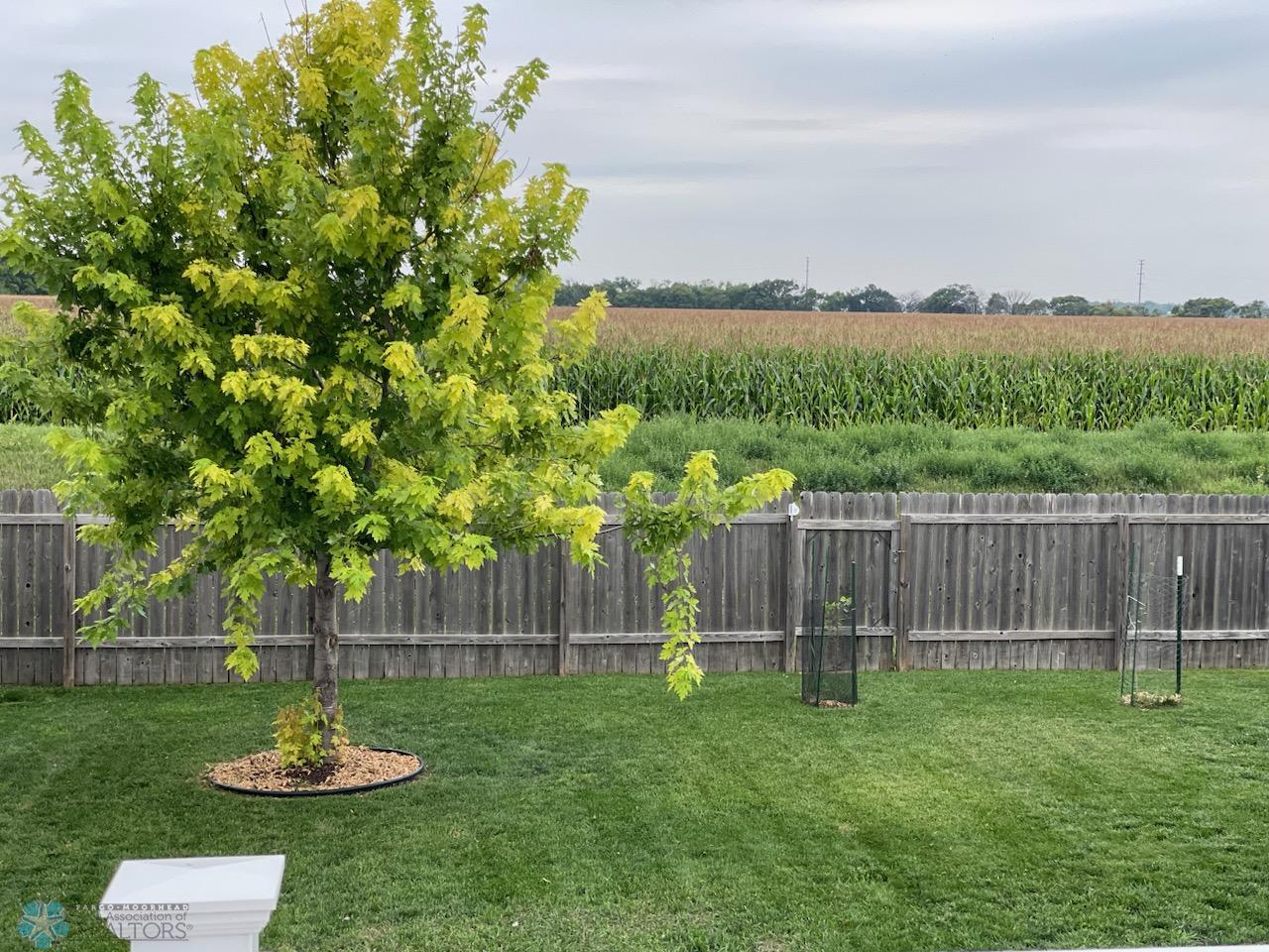 No Backyard Neighbors!!!