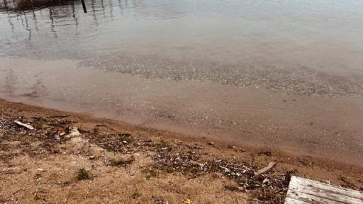 A hard, sandy bottom, perfect for a private swimming beach!