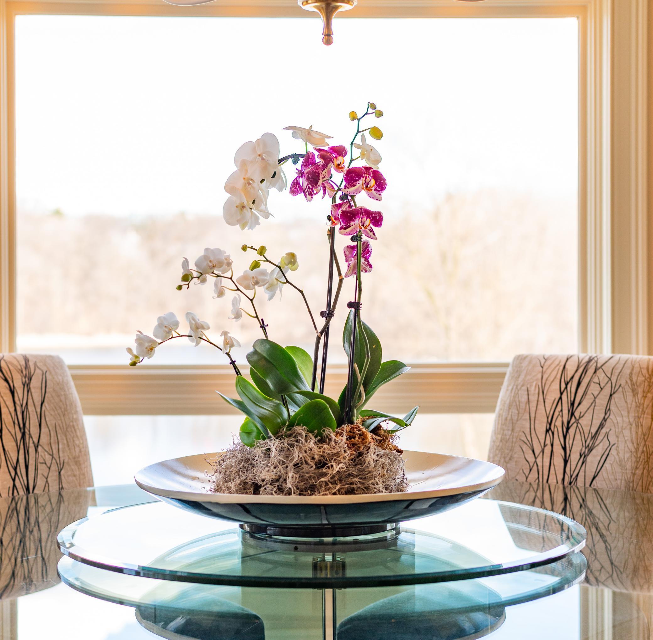 Informal Dining Area Detail