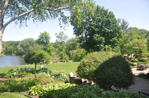 Side Yard View