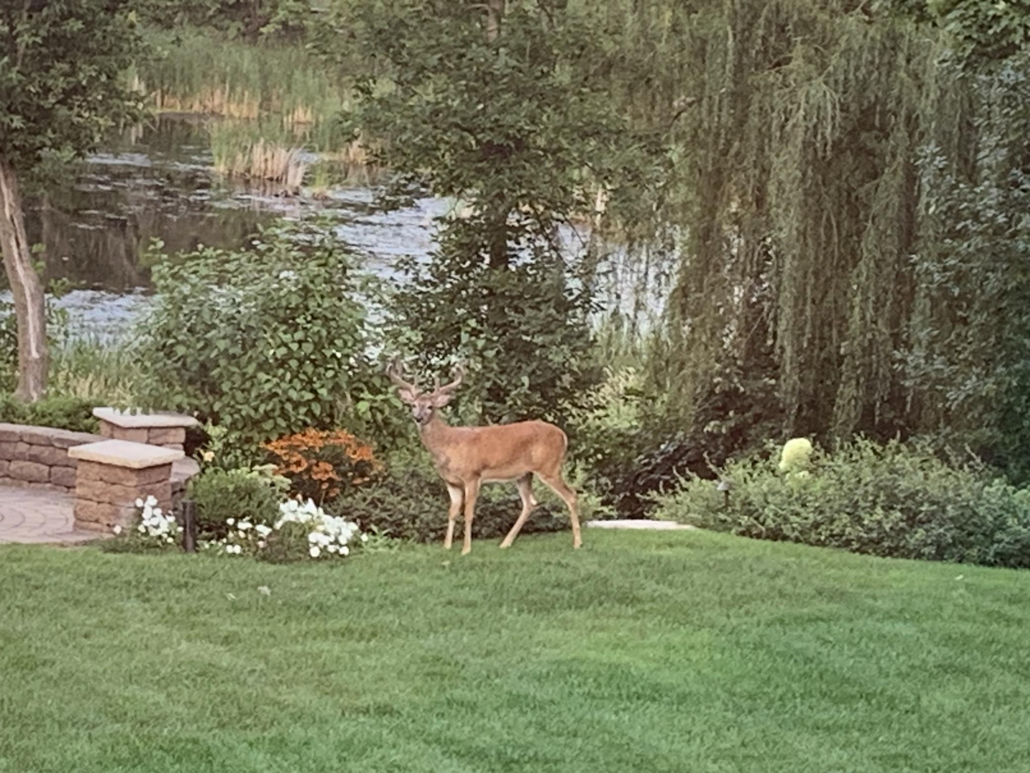 Gorgeous Nature Views