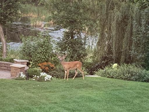 Gorgeous Nature Views