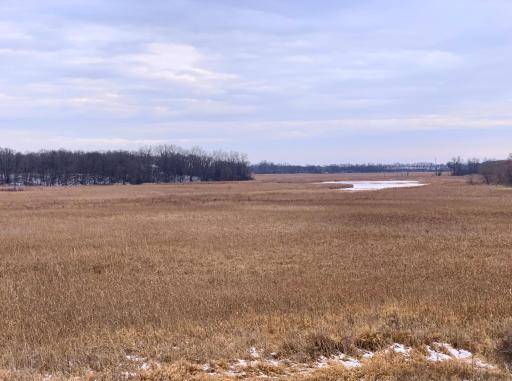 Even in winter, the views are amazing! Subject property features stunning wetland views (and privacy!) adjacent to your backyard! This photo was taken this January.