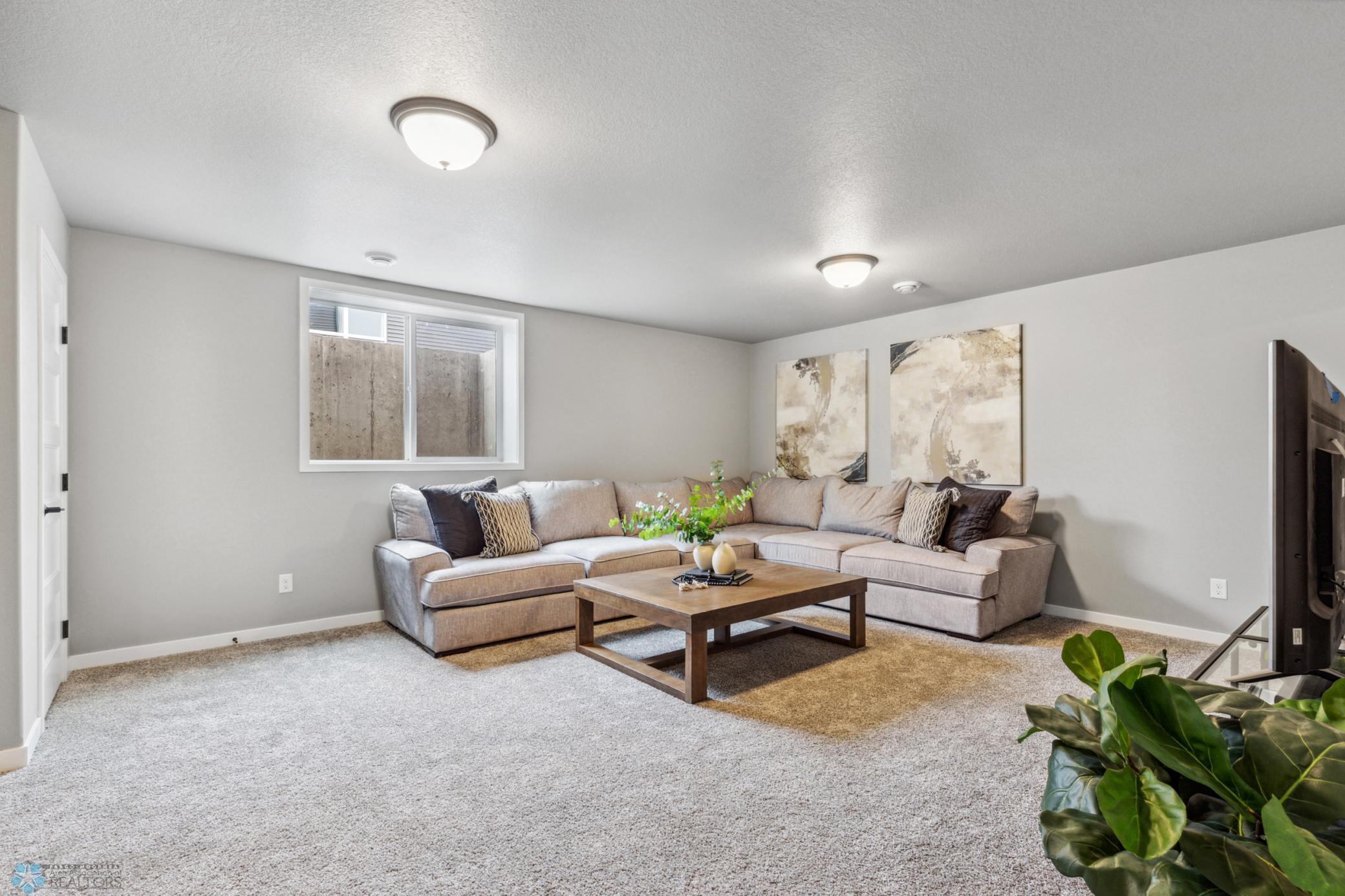 Basement Living room
