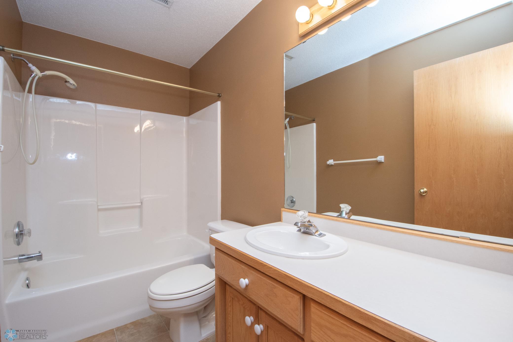 Lower Level Bathroom