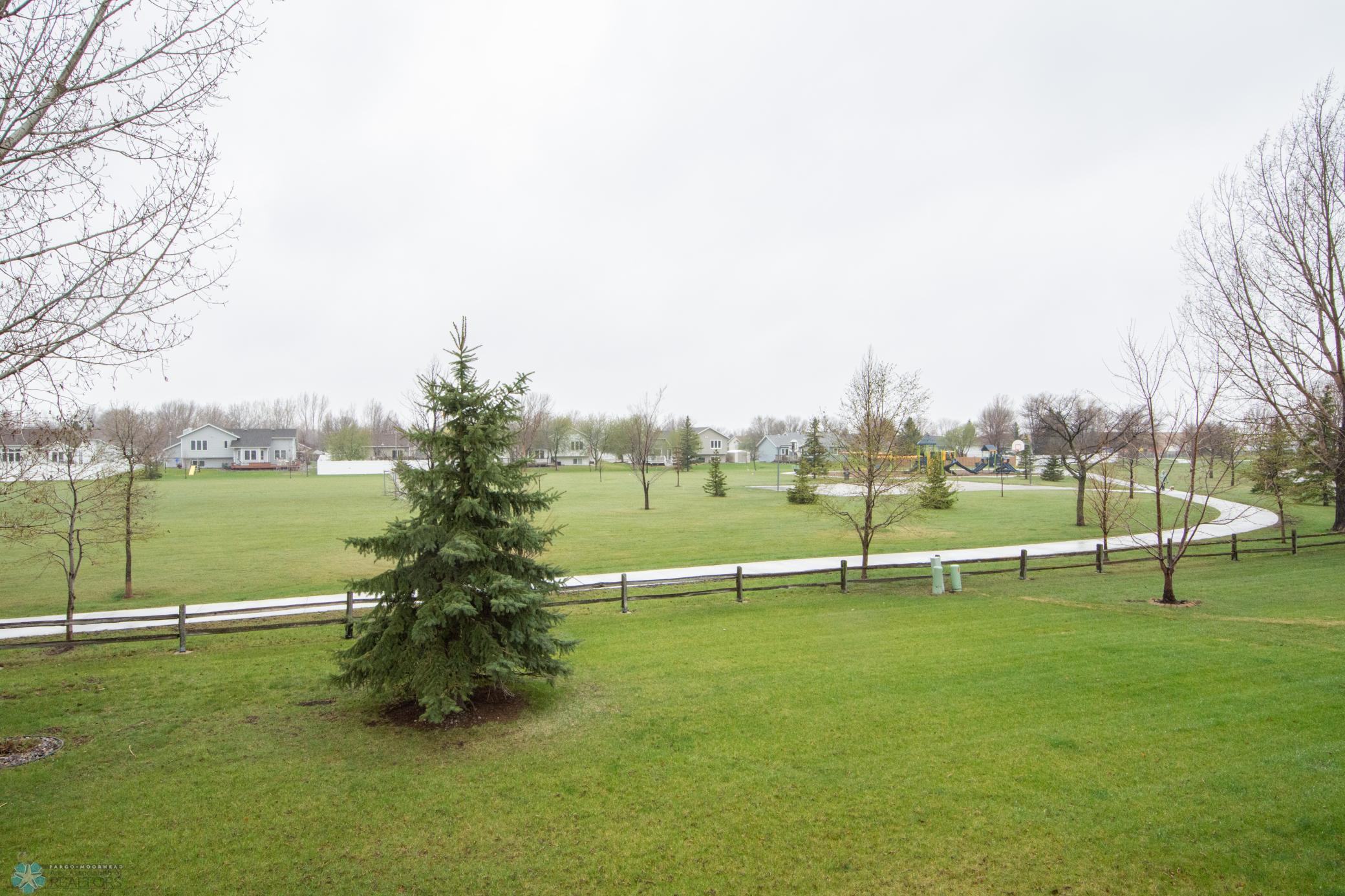 Backyard Park View
