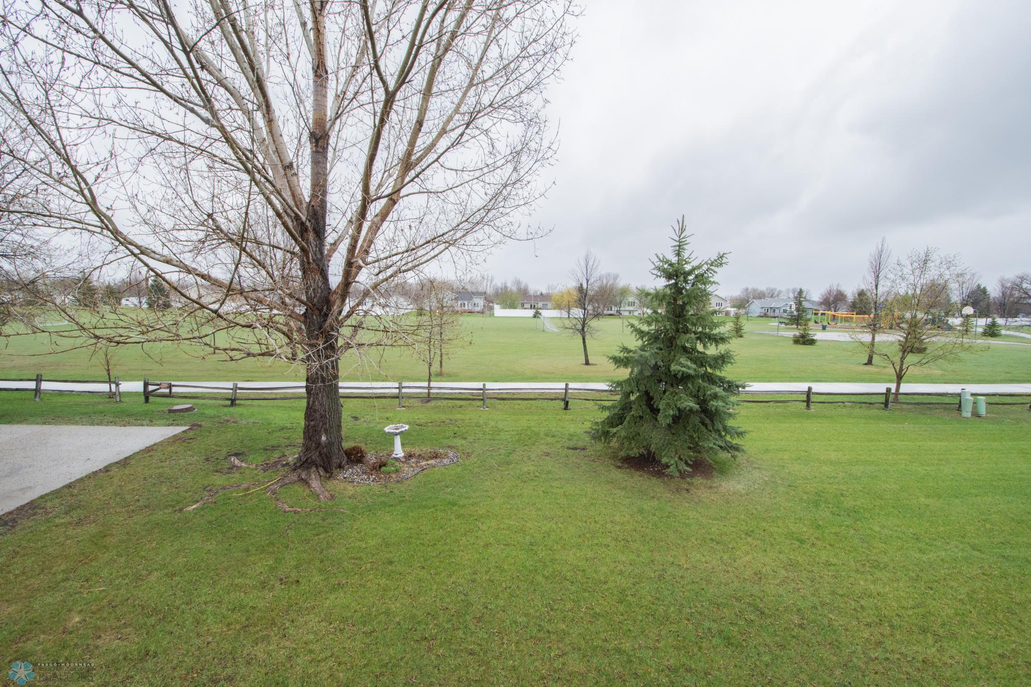 Backyard Park View
