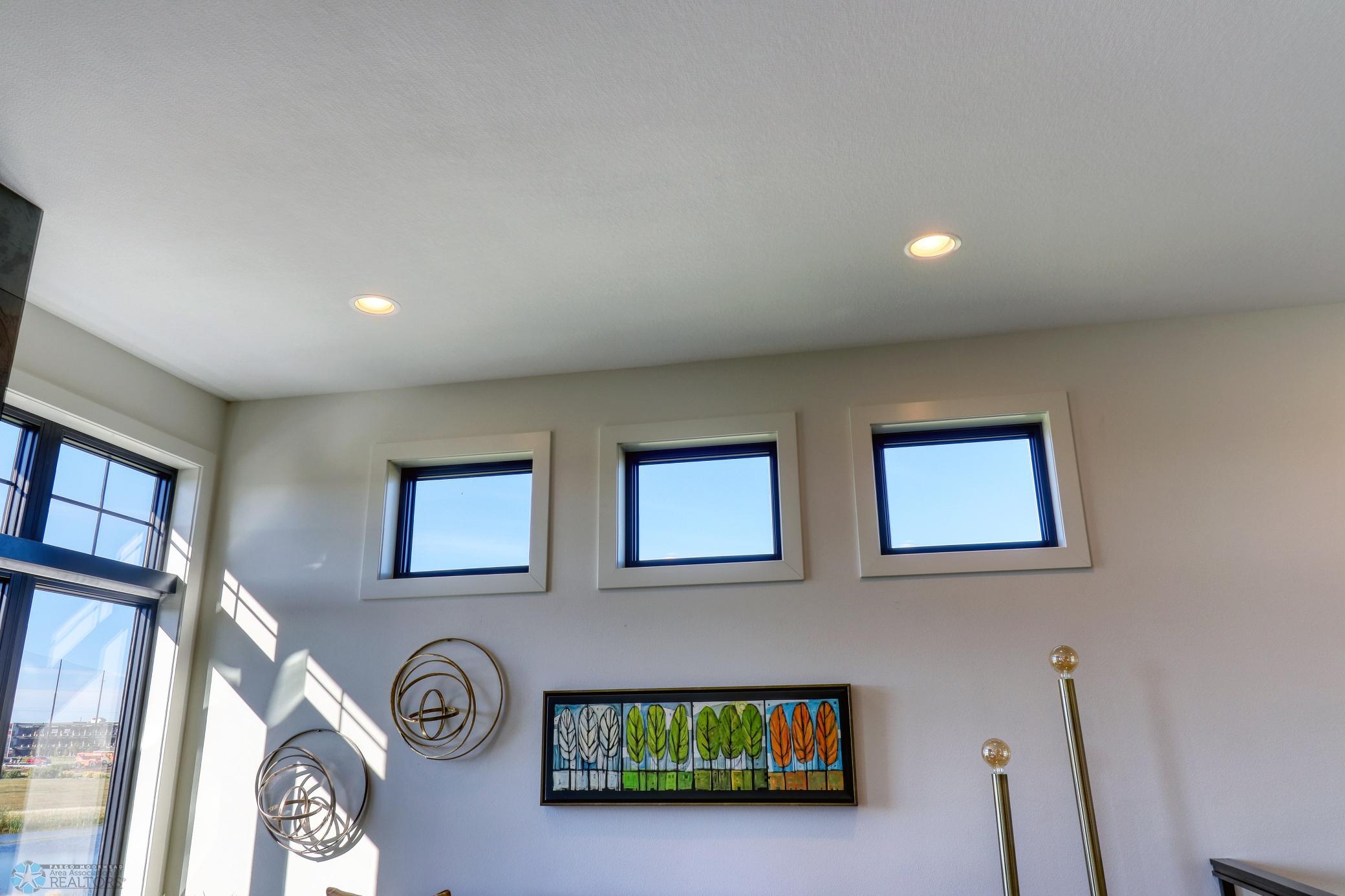 Living room windos
