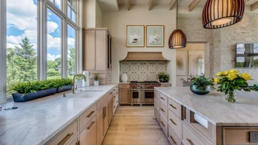 Vaulted Ceiling with beams