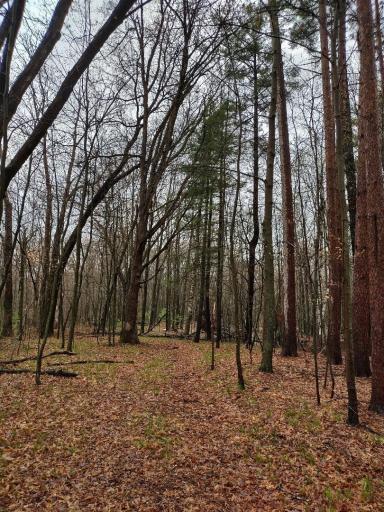 Photo for 26627 Bluegill Avenue N, Webster, WI 54893 - listing #6527500 26627 Bluegill Avenue N, Webster, WI 54893