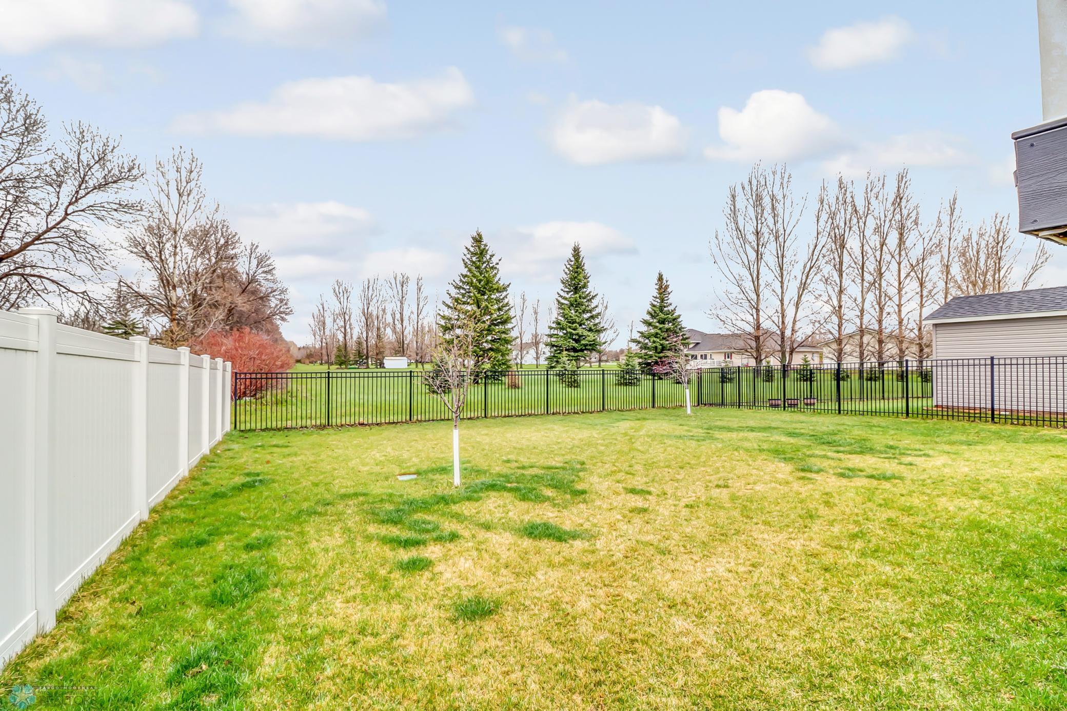 Backyard1_1.jpg