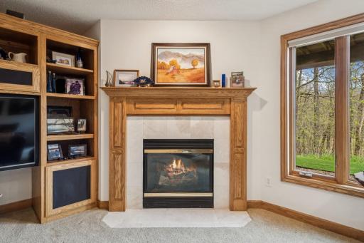 Here is a closer look at the beautiful gas fireplace and XL casement windows that overlook nature.