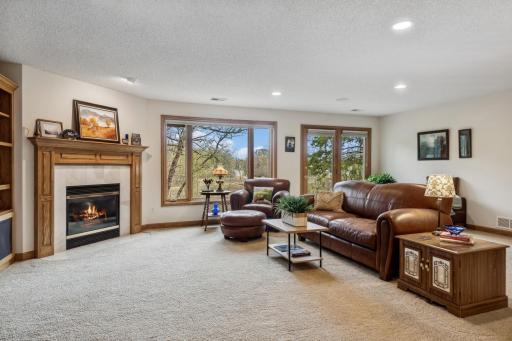 What a wonderful lower level family room! The gorgeous XL casement windows and full-light patio doors definitely show off the outdoors! Seems too good to be true!