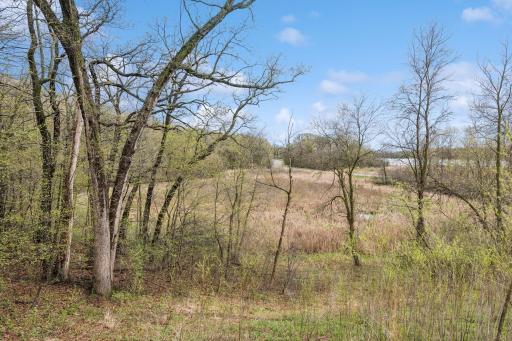 Wow! What a view! This unit is backed up to nature instead of neighbors, with views of Goose Lake and the 4,900 acre ELm Creek Park Reserve.