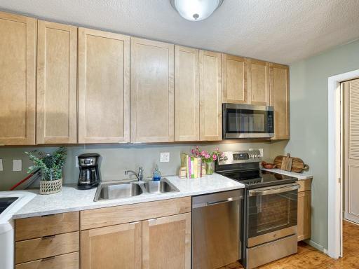 Stainless Steel appliances, Maple Cabinetry
