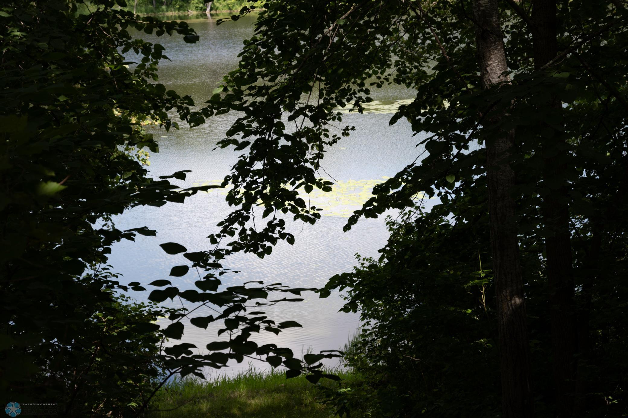 water/lilypads.jpg