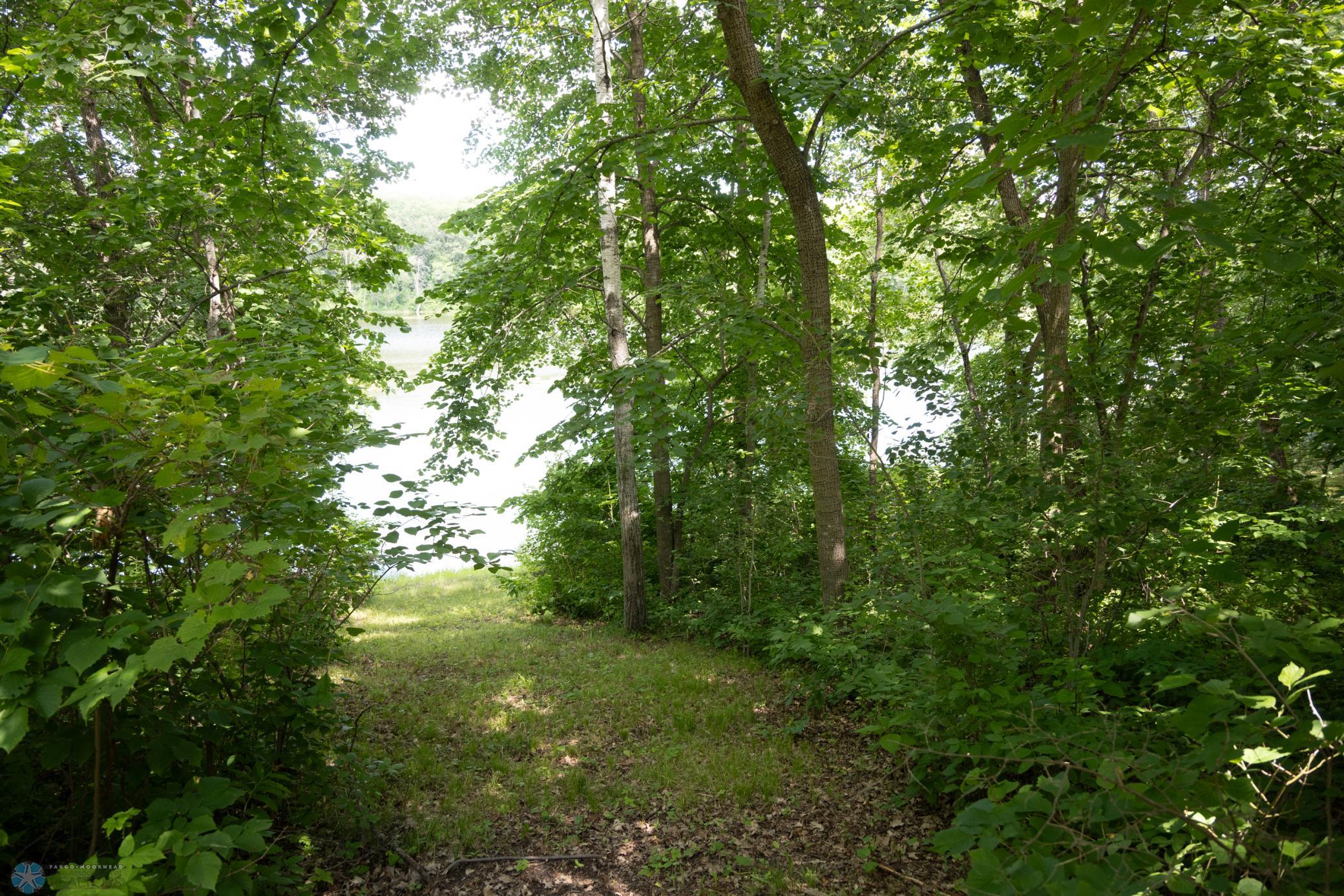 path to water.jpg