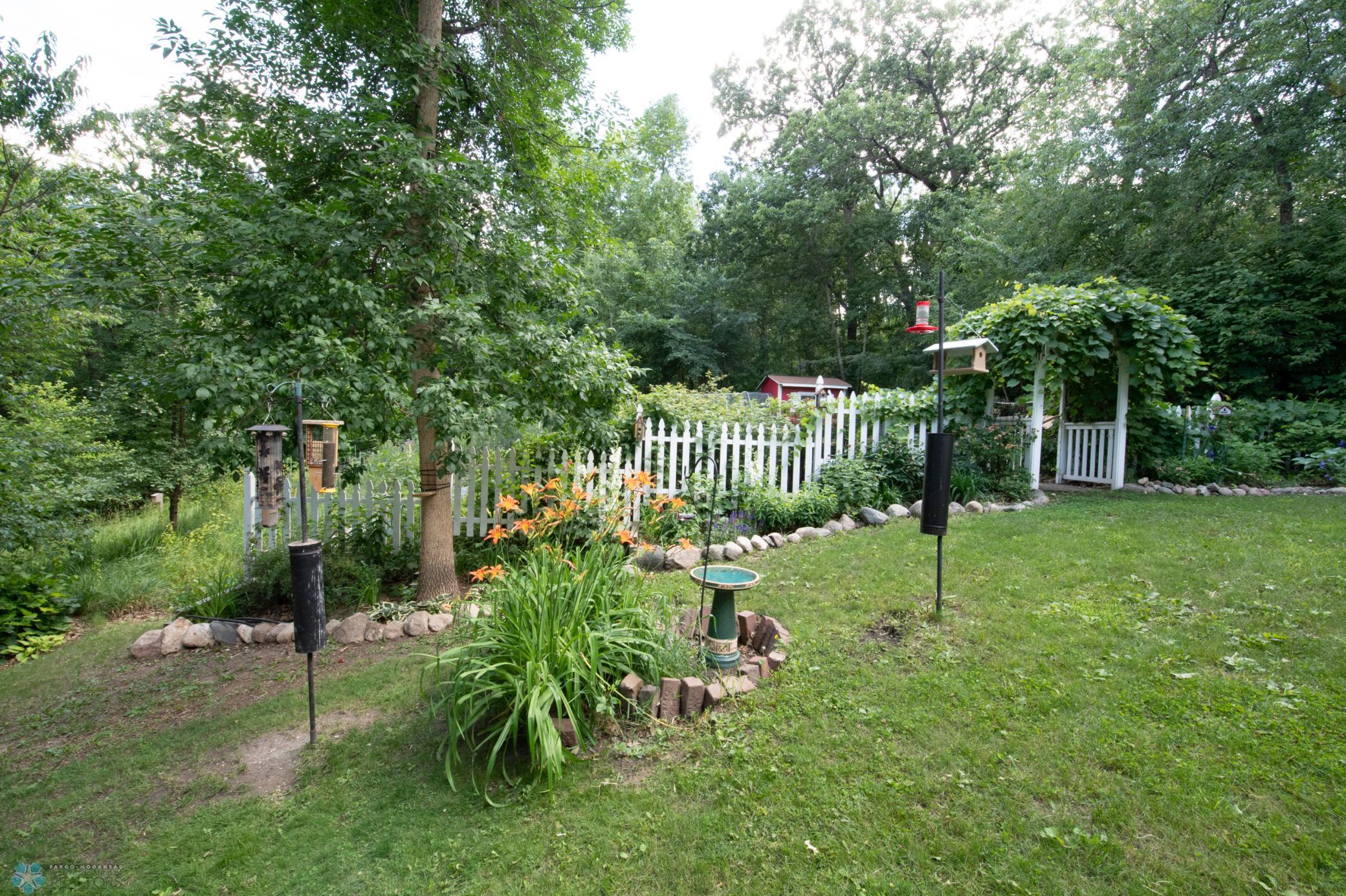 beautiful yard.jpg