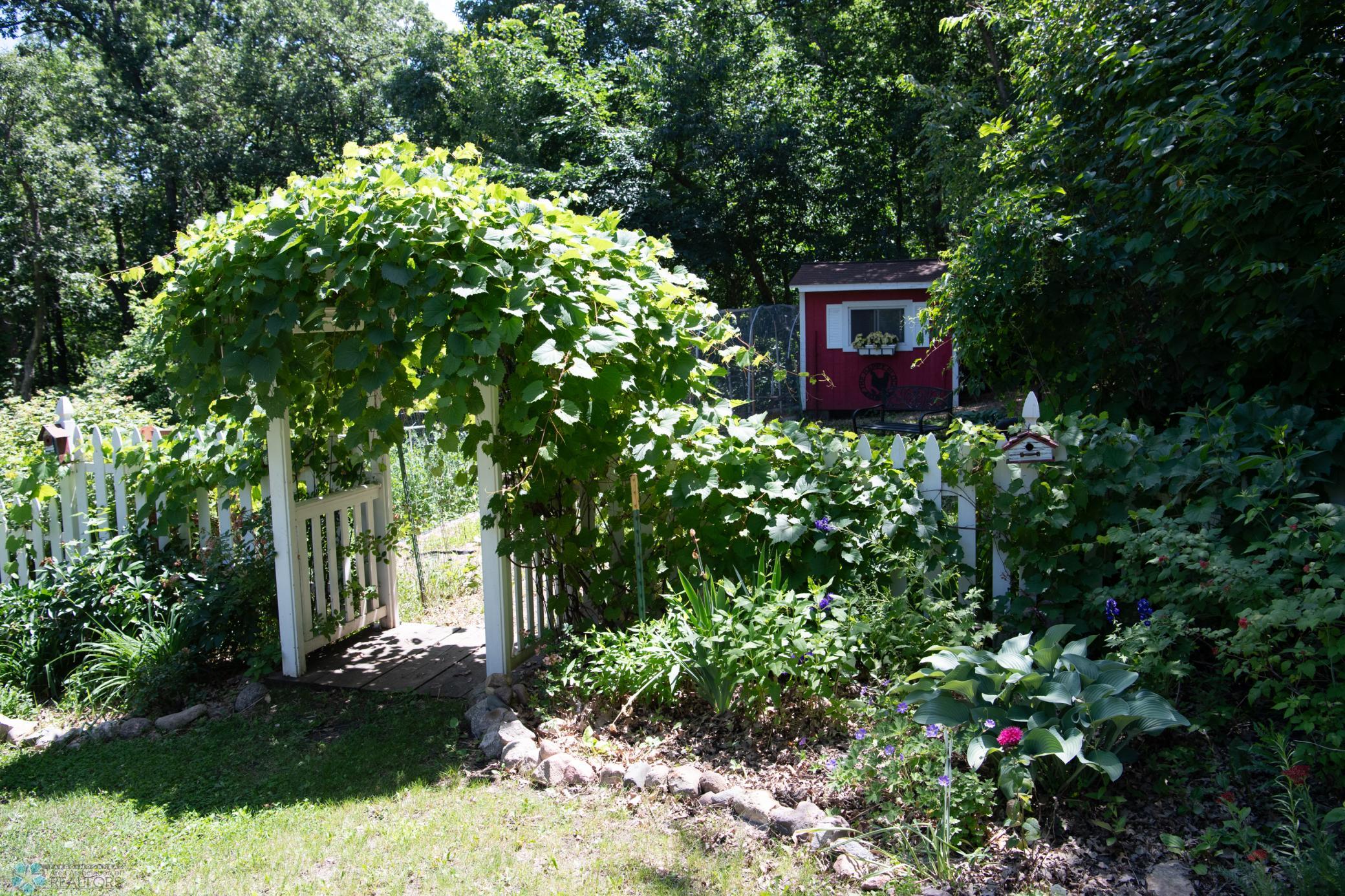 backyard.jpg