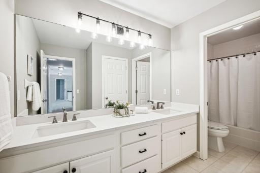 17586 Belfast Cove, Eden Prairie, MN 55347