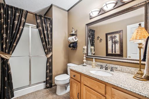 17586 Belfast Cove, Eden Prairie, MN 55347