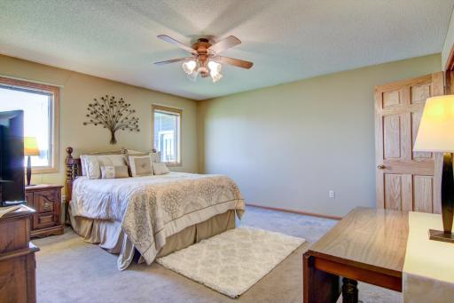 Main level primary bedroom suite with walk-in closet and 3/4 bath.